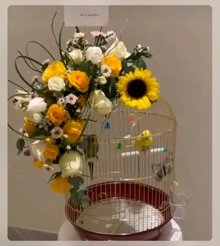 شمس السعادة